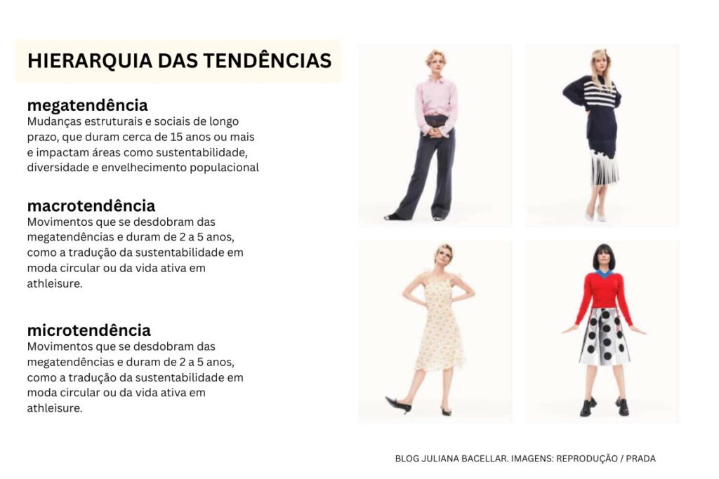 hierarquia das tendências na moda